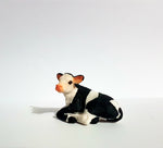 Holstein Calf Laying