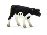 Holstein Calf Standing